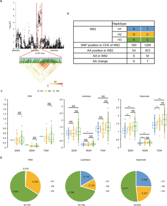 Genome-wide association study for biomass accumulation traits in soybean