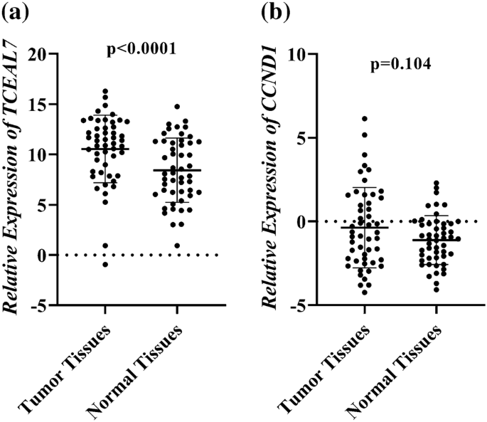 Epigenetic silencing of TCEAL7 (Bex4) in ovarian cancer