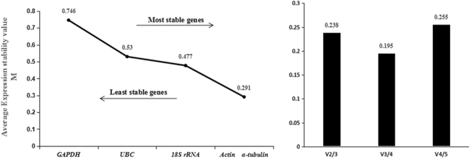 Relative gene expression (± SE) of 18 candidate genes by RT-qPCR