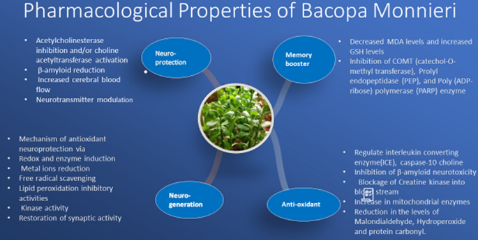 can bacopi monnieri be used with glutathione Neuroprotection with Bacopa monnieri–A review of experimental evidence |  Molecular Biology Reports