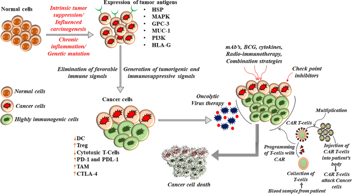 IV Therapy for Cancer Patients:Boosting Your Immunity and Fighting Back  Against Cancer