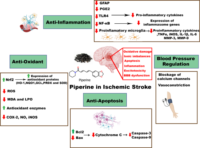mechanisms for regenerating glutathione Frontiers