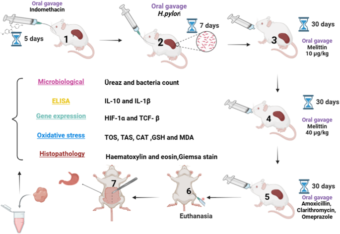 benefits of glutathione drip Benefits of Glutathione