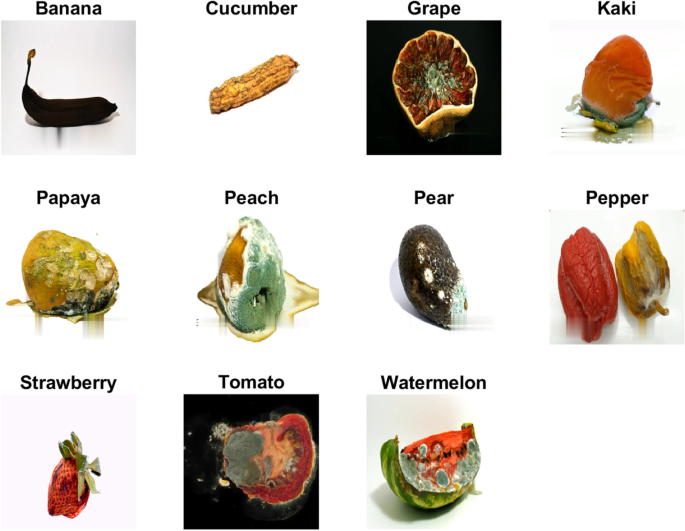 Sample RGB database images a rotten apple, b rotten avocado, c rotten