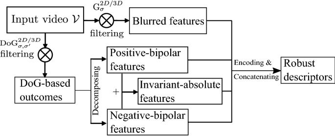 Dynamic texture description using adapted bipolar-invariant and