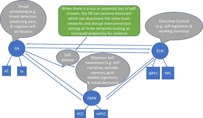 Brain self-regulation in criminal psychopaths