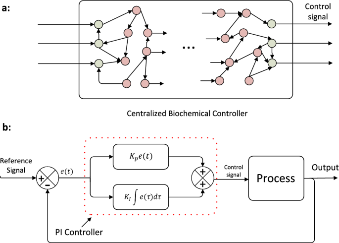 A hierarchy of biomolecular proportional-integral-derivative feedback  controllers for robust perfect adaptation and dynamic performance