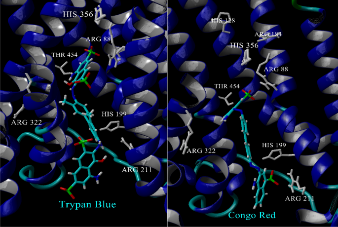 Synthesis and in Vitro Pharmacology of Substituted  Quinoline-2,4-dicarboxylic Acids as Inhibitors of Vesicular Glutamate  Transport