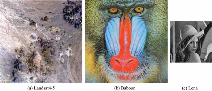Remote sensing image and multi-type image joint encryption based on NCCS |  Nonlinear Dynamics