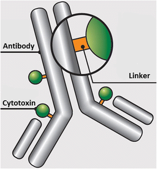 Current ADC Linker Chemistry | Pharmaceutical Research | Springer Nature  Link