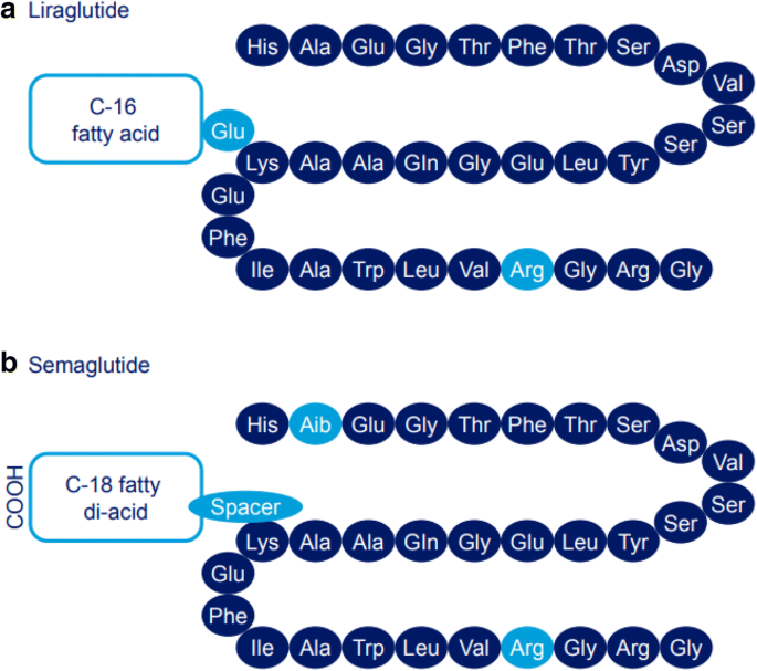 cheapest online glp 1 Cheapest GLP-1 Options Online Without Insurance: A Complete Price Guide