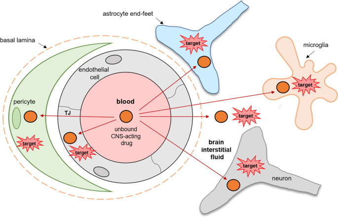 does glutathione cross the blood brain barrier Targeting Transporters for Drug Delivery to the Brain: Can We Do Better? |  Pharmaceutical Research