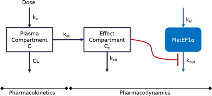 ipamorelin half life pharmacokinetics human Preclinical and Translational Pharmacokinetic/Pharmacodynamic Modeling of M8891, a Potent and Reversible Inhibitor of Methionine Aminopeptidase 2 | Pharmaceutical Research Hydroxocobalamin: Medical Uses, Dosage, lash extension lashes Bottle:Glass