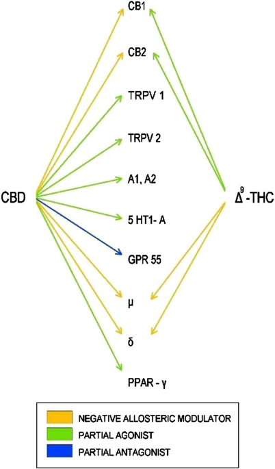 Parallel World Pharmacy - Wikiwand