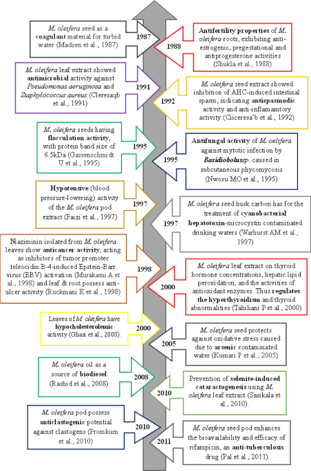 glutathione and iron overload Theaflavins attenuate iron overload-induced liver oxidative injury by  inhibiting hepatocyte ferroptosis