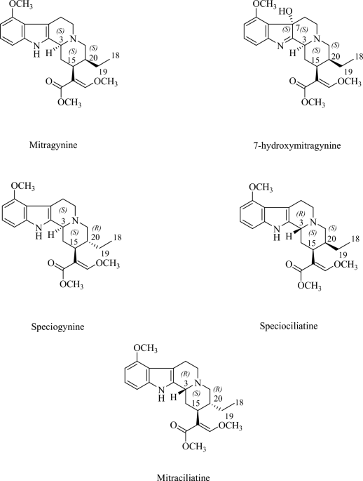 Chemistry and toxicity of 7-hydroxymitragynine (7-OHMG): an updated review on the oxidized derivative of mitragynine | Phytochemistry Reviews