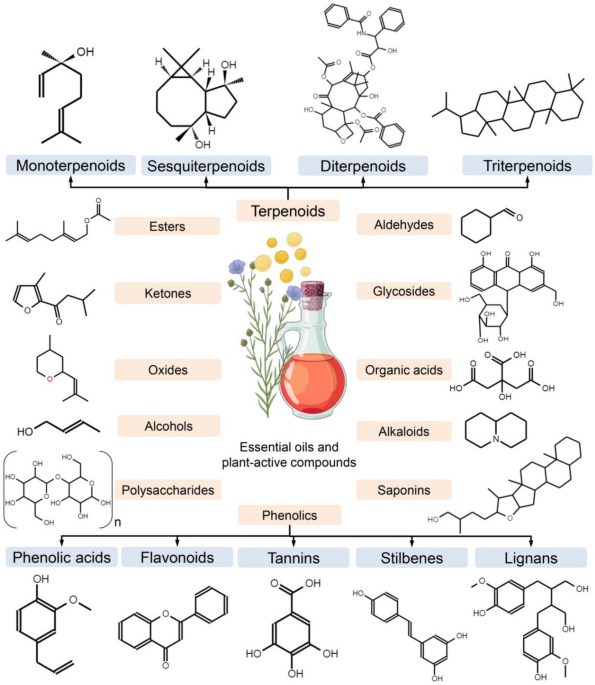 glutathione in red blood cell metabolism The Redox Process in Red Blood Cells: Balancing Oxidants and Antioxidants