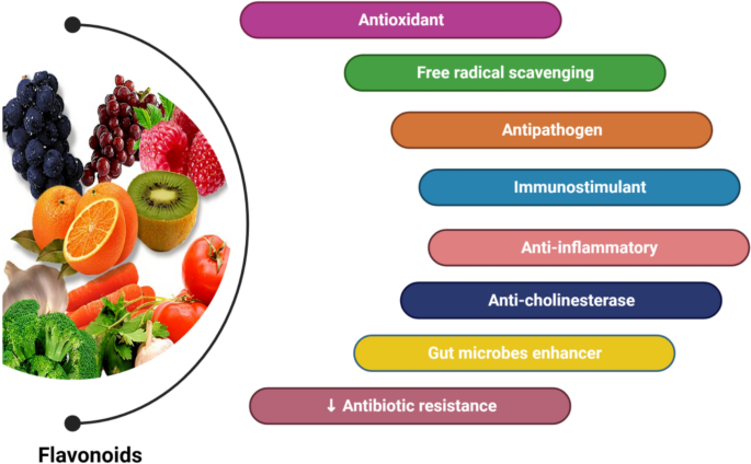 Flavonoids as a phytobiotic agent: sources, classifications, biological  benefits, and useful impacts on broilers and layers | Phytochemistry  Reviews | Springer Nature Link