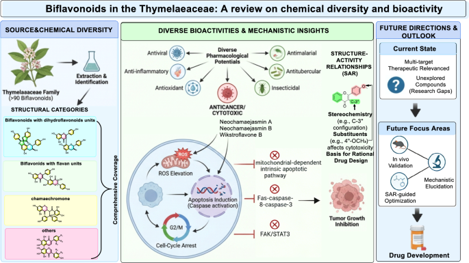 tokyo glutathione review Biflavonoids in the Thymelaeaceae: a on chemical diversity and bioactivity | Phytochemistry Reviews Holistic Pet Health B12 Supplement Size:2 Bottles - 360 Capsules Miduty entered India's premium