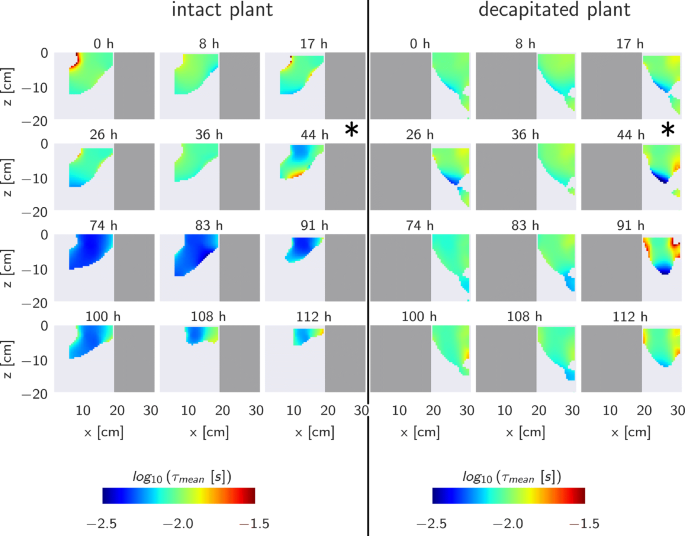 Imaging and functional characterization of crop root systems using