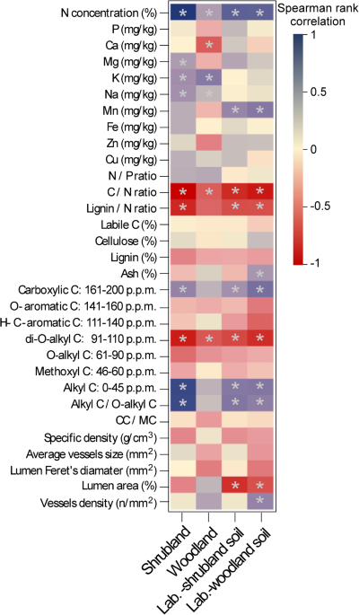 Physical and chemical properties of Coarse Woody Debris submitted to the  natural process of decomposition in a Secondary Atlantic Forest Fragment in  Brazil