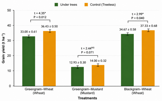 Productivity, carbon dynamics and soil fertility of eucalyptus based agroforestry system under different winter crops - Plant and Soil