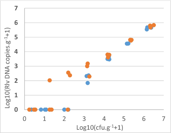 Development of molecular diagnostic test to quantify Rhizobium leguminosarum bv. viciae (rhizobia group E/F) in soil - Plant and Soil