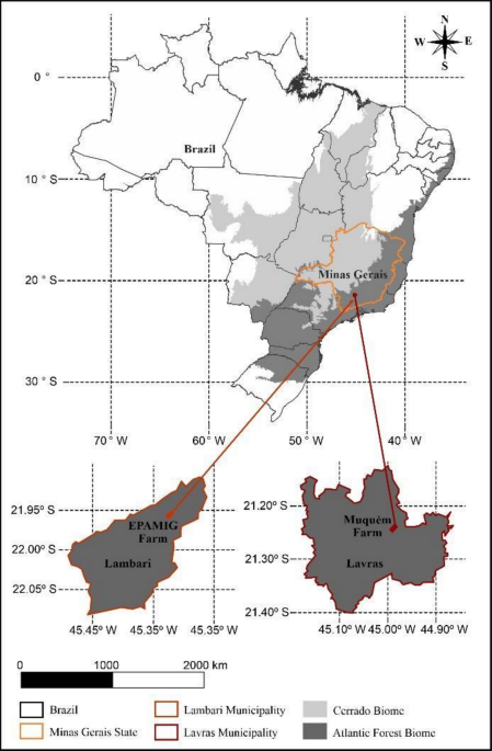 Optimizing grain sorghum selenium biofortification through foliar fertilization: integrating novel selenium sources, genotype, and contrasting tropical soils