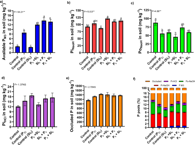 Silicon application timing on phosphorus availability and fractionation in tropical soil and its effects on maize growth - Plant and Soil
