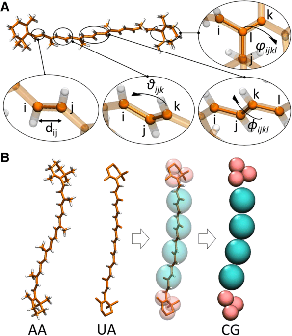 Atomistic molecular dynamics simulations a Structural representation of