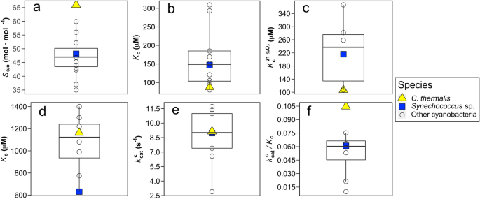 Singular adaptations in the carbon assimilation mechanism of the polyextremophile cyanobacterium Chroococcidiopsis thermalis