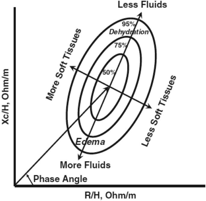 Figure 5 from Bioelectrical impedance analysis--part I: review of