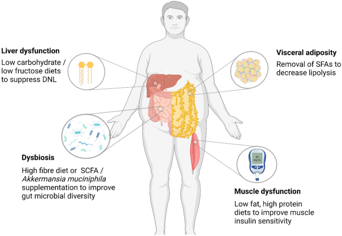 Precision nutrition for targeting pathophysiology of cardiometabolic  phenotypes | Reviews in Endocrine and Metabolic Disorders