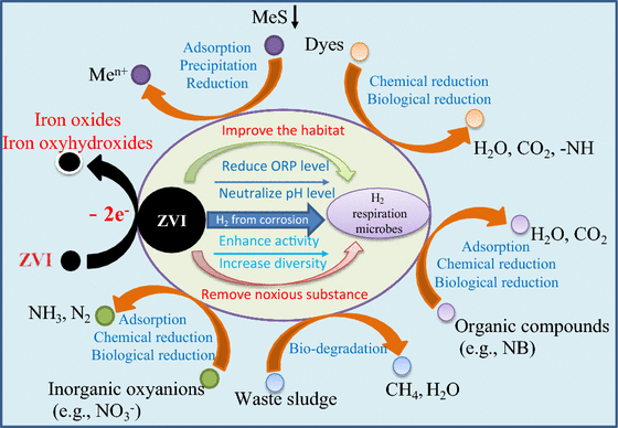 Application of zero valent iron coupling with biological process for  wastewater treatment: a review
