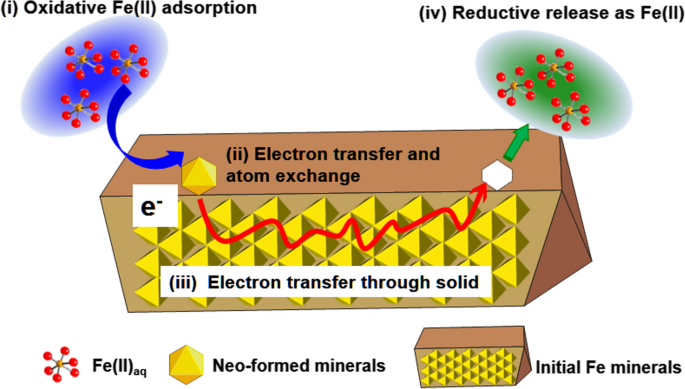 Rapid Redox Cycling of Fe(II)/Fe(III) in Microdroplets during Iron–Citric  Acid Photochemistry