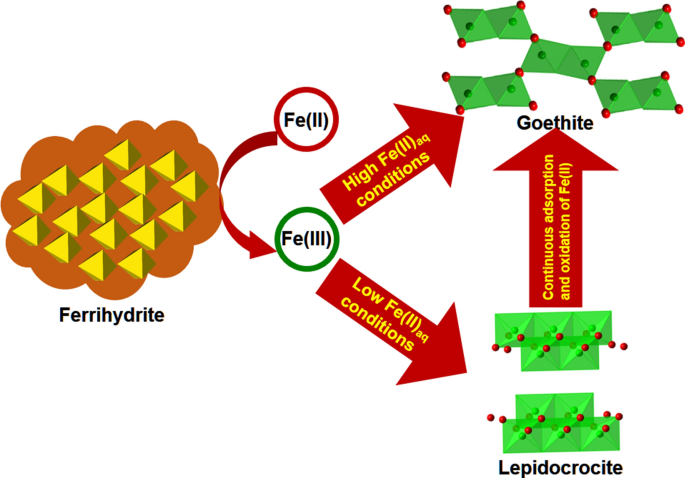 Rapid Redox Cycling of Fe(II)/Fe(III) in Microdroplets during Iron–Citric  Acid Photochemistry