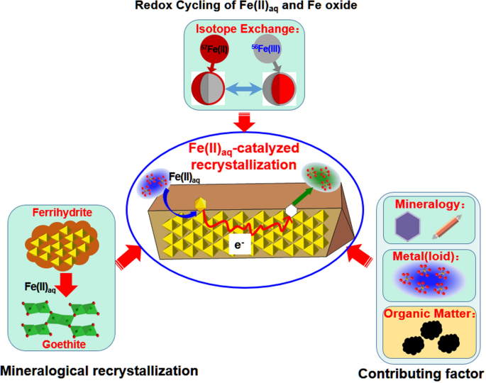 Rapid Redox Cycling of Fe(II)/Fe(III) in Microdroplets during Iron–Citric  Acid Photochemistry