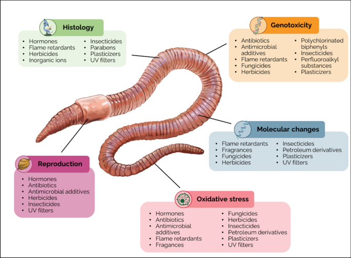 glutathione system The glutathione system
