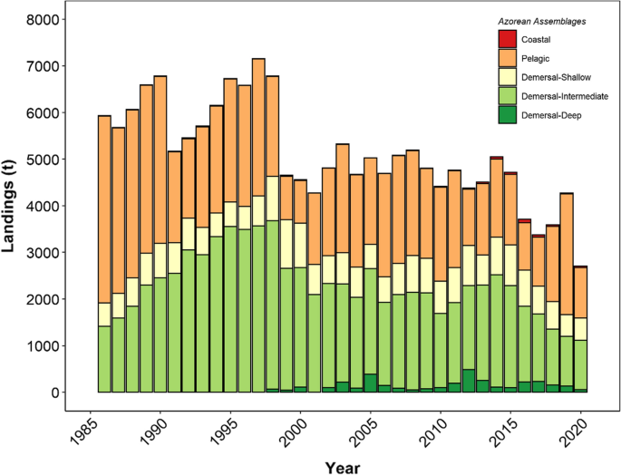 Defining scale in fisheries: Small versus large-scale fishing operations in  the Azores - ScienceDirect