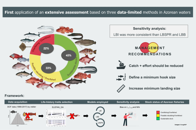 Performance of length-based assessment in predicting small-scale