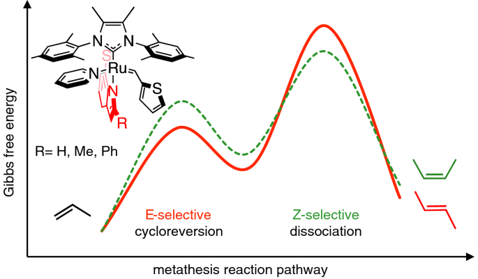 Inhibition of the Decomposition Pathways of Ruthenium Olefin Metathesis  Catalysts: Development of Highly Efficient Catalysts for Ethenolysis