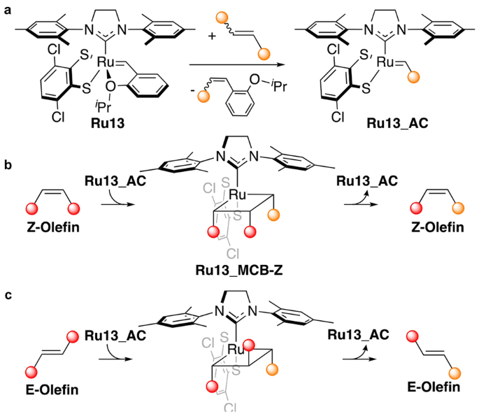 Inhibition of the Decomposition Pathways of Ruthenium Olefin Metathesis  Catalysts: Development of Highly Efficient Catalysts for Ethenolysis