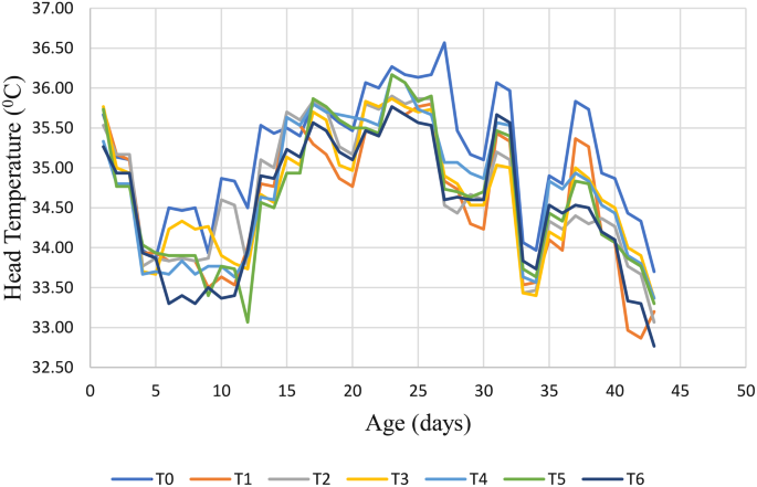 amla increases glutathione levels study A Review of Dietary (Phyto)Nutrients for Support Analysis of the glutathione levels