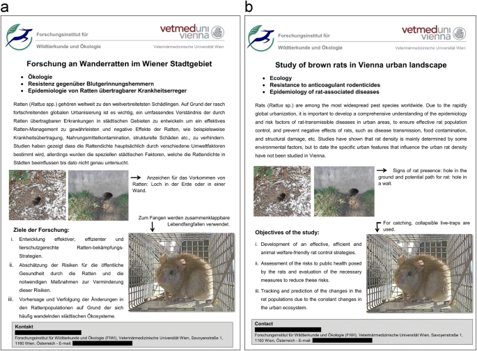 The Natural History of Model Organisms: The Norway rat, from an obnoxious  pest to a laboratory pet