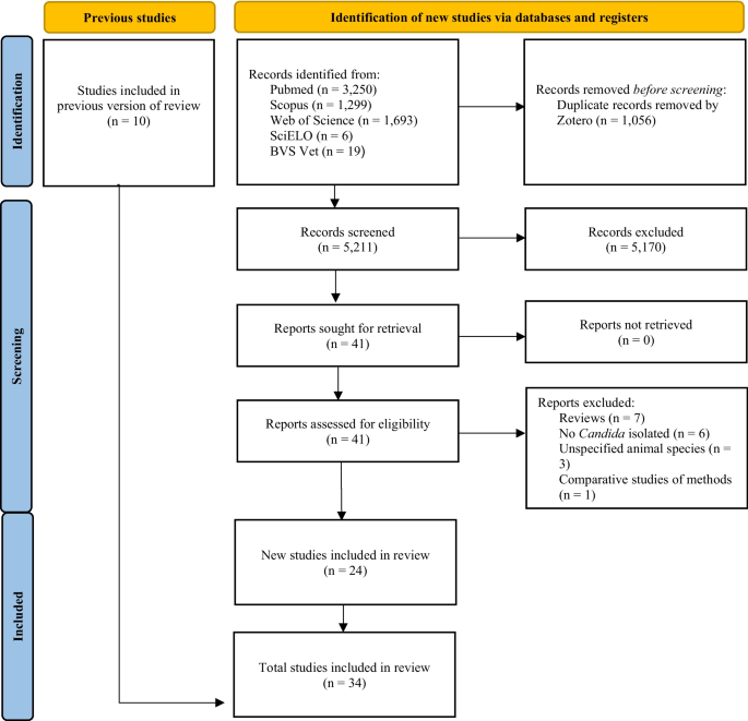 Diversity of Candida spp. isolated from microbiota and infectious processes in wild mammals: a systematic review - Veterinary Research Communications