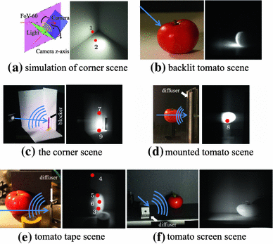 a) Dark room images of red tomato Lambertian color estimation and (b)