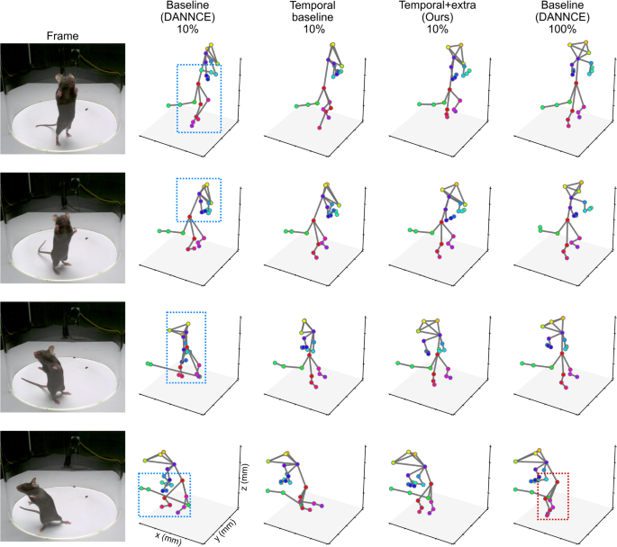 3D mouse pose from single-view video and a new dataset