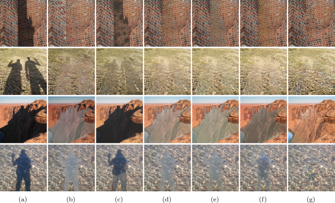 Integration of GAN and Adaptive Exposure Correction for Shadow Removal