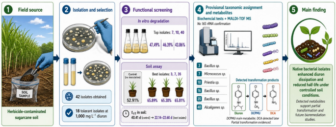 Biodegradation of Diuron By Indigenous Soil Bacteria Isolated From Herbicide-contaminated Sites - Water, Air, & Soil Pollution