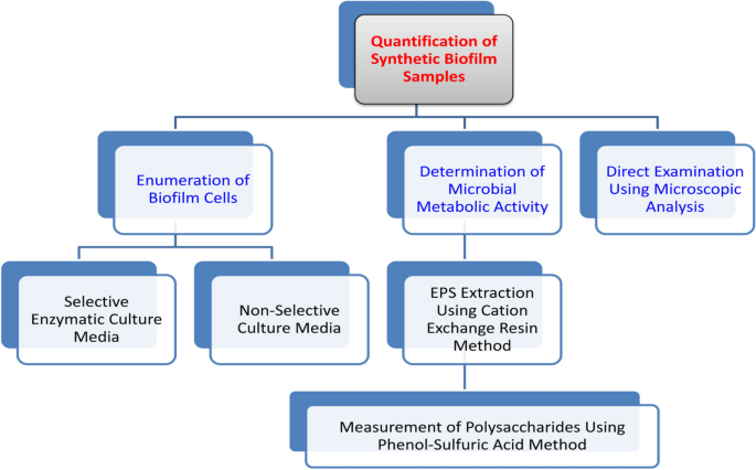 PDF) Action of disinfectant solutions on adaptive capacity and virulence  factors of the Candida spp. biofilms formed on acrylic resin